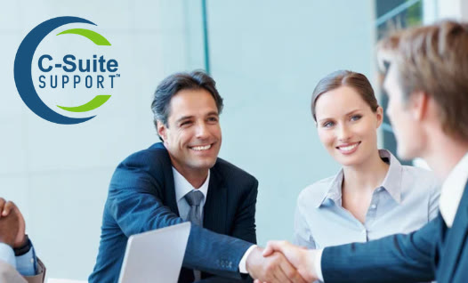 C-Suite Support, Fractional CFO Services in Dallas