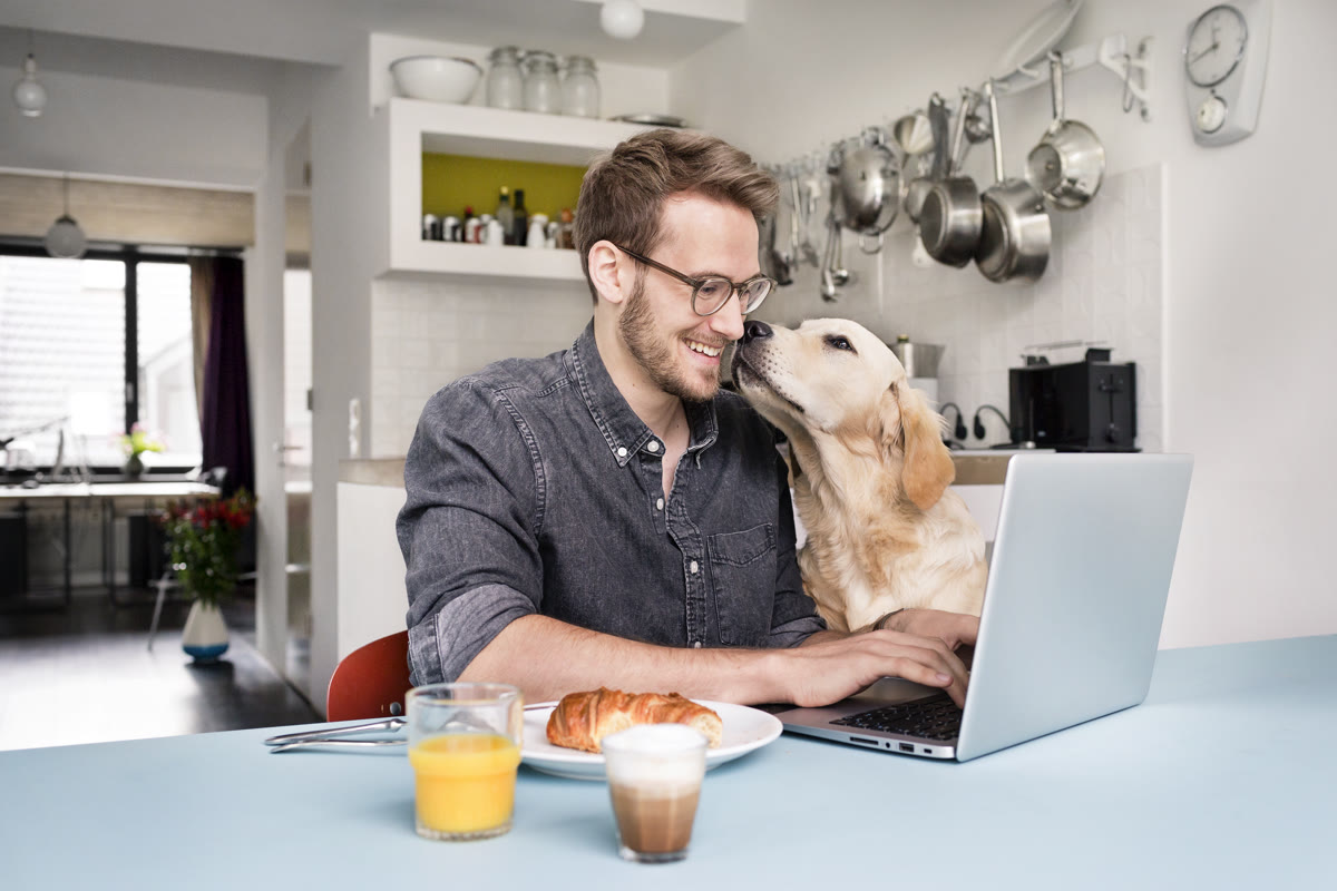 Research has consistently shown that flexible work arrangements can lead to increased productivity