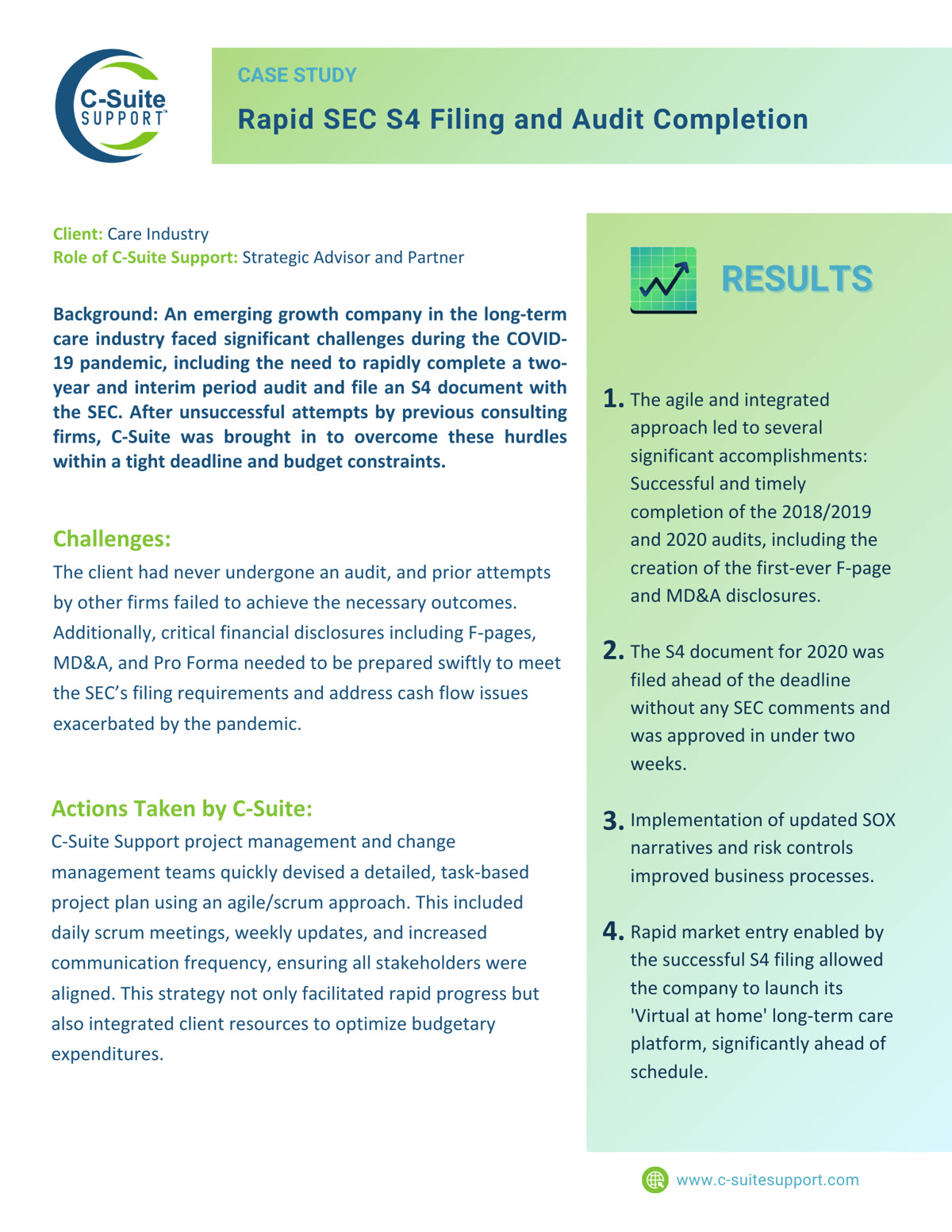 C-Suite Support Case Study | Fractional CFO Services