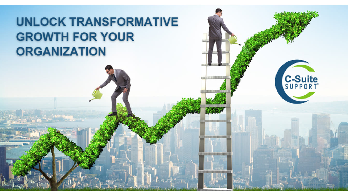 How Fractional CFO Services Can Transform Your Company's Success