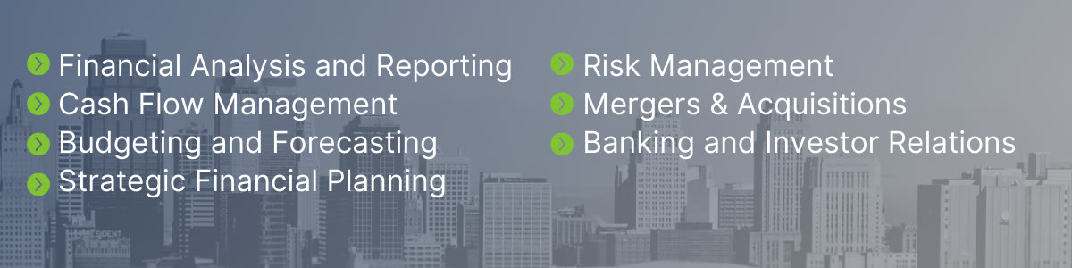 Fractional CFO Services