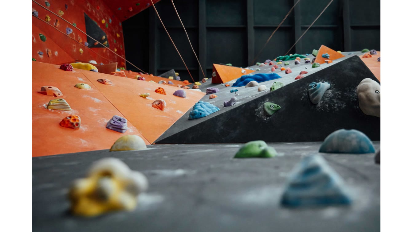 The Buffalo Culture: Embracing Calculated Risk-Taking for Business Success