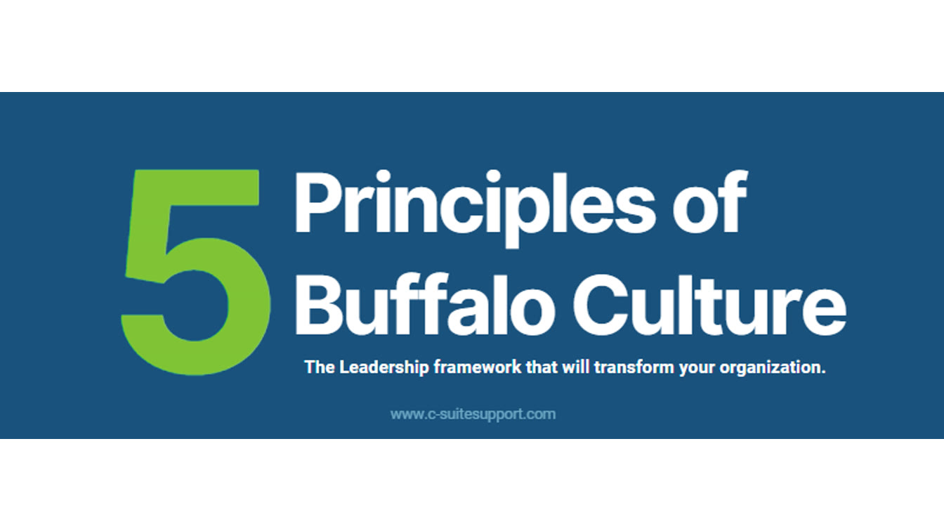 The Buffalo Culture: The Leadership framework that will transform your organization.