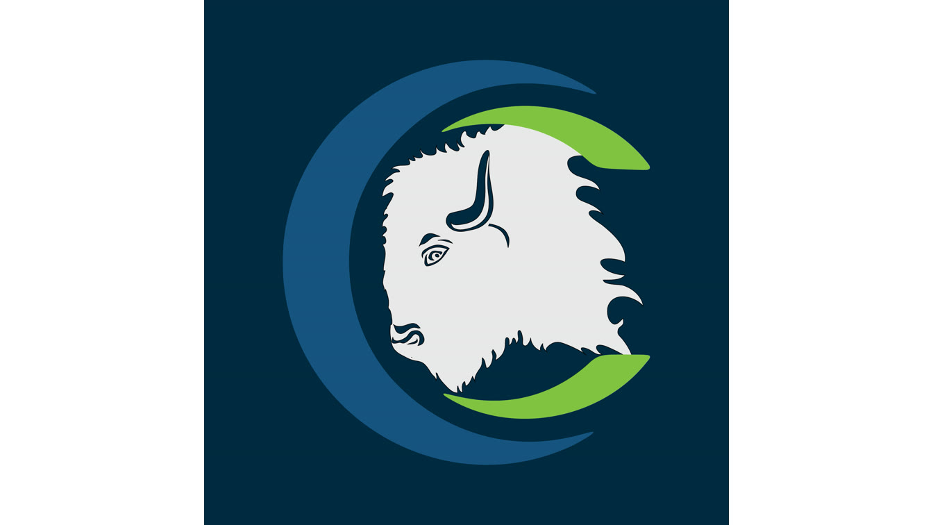 The Power of Buffalo Culture: Navigating Uncertainty and Driving Results