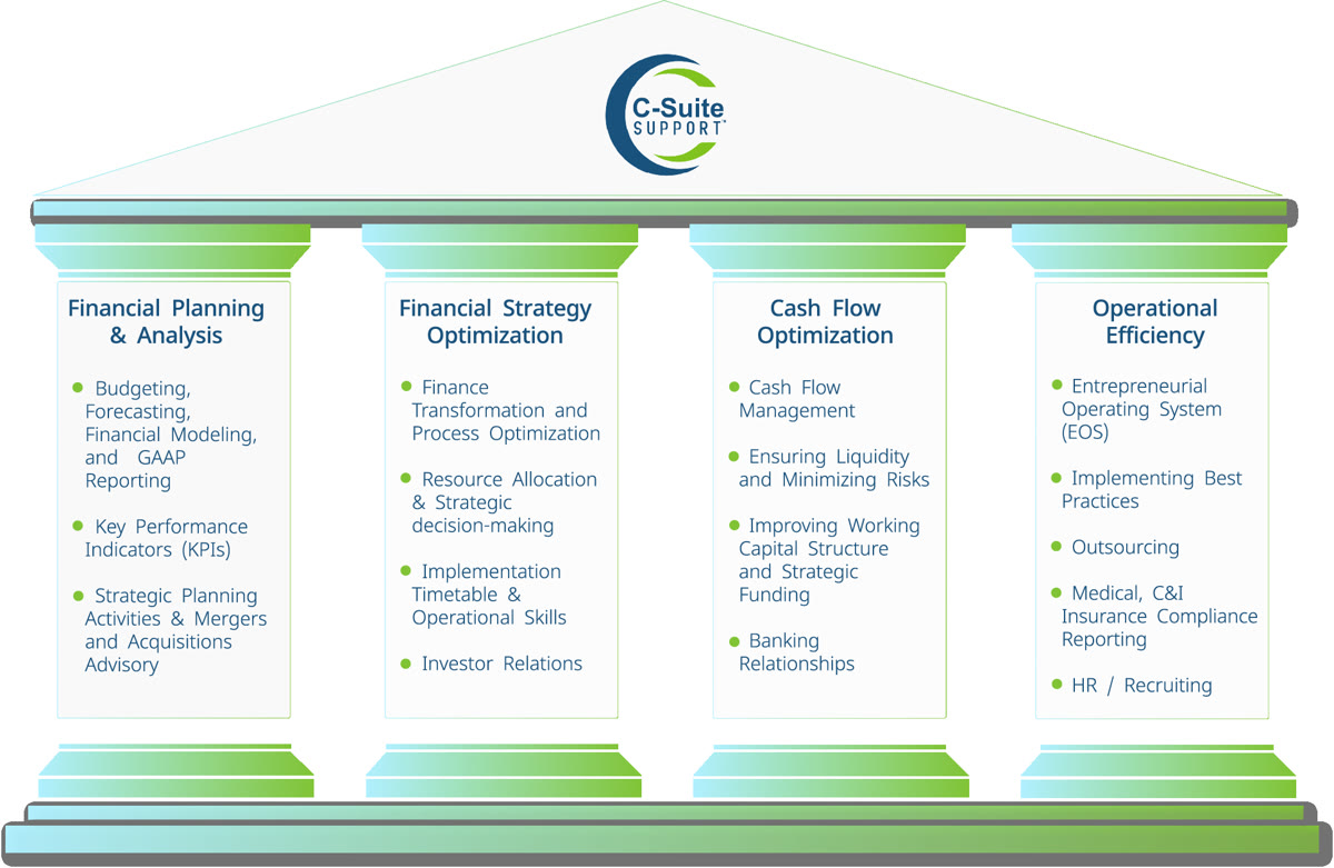 Fractional CFO leading team