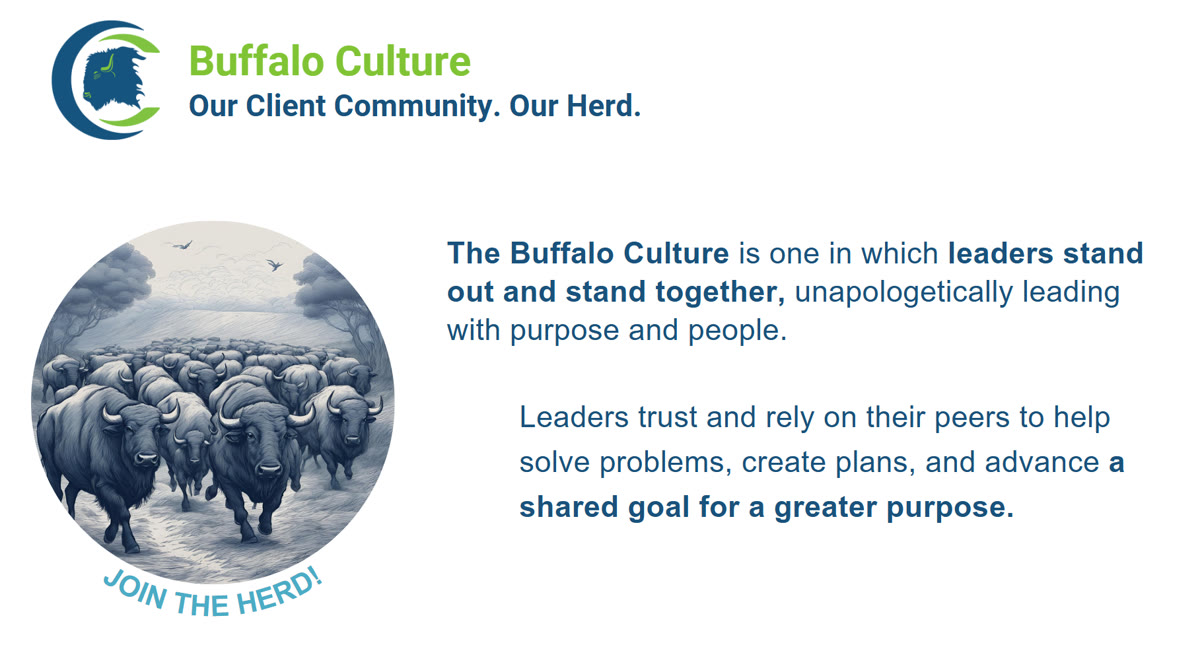 Buffalo Culture