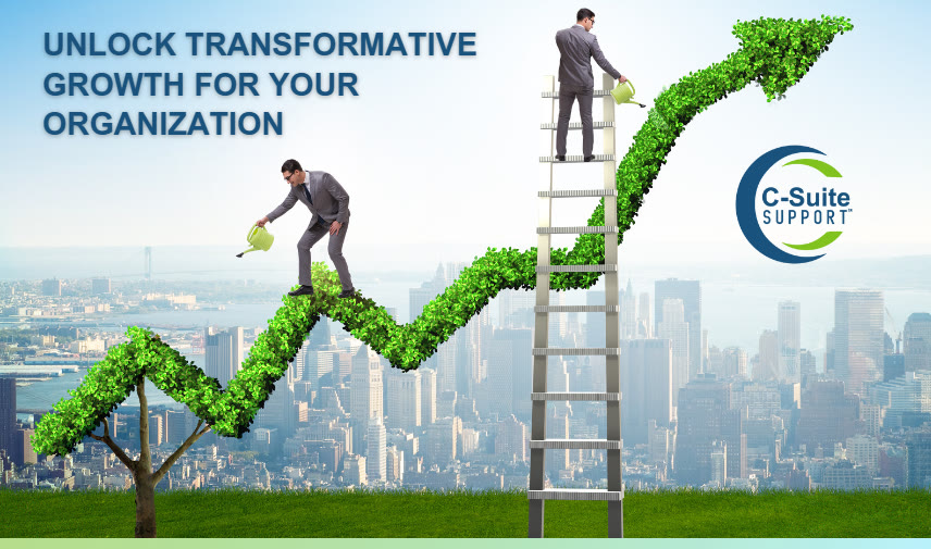 Fractional CFO at C-Suite Support