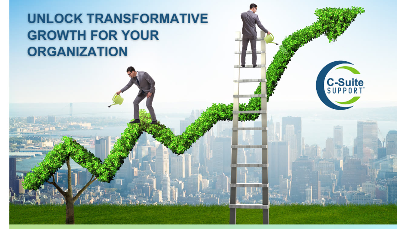 Why Hiring a Fractional CFO is a Game-Changer for Your Business