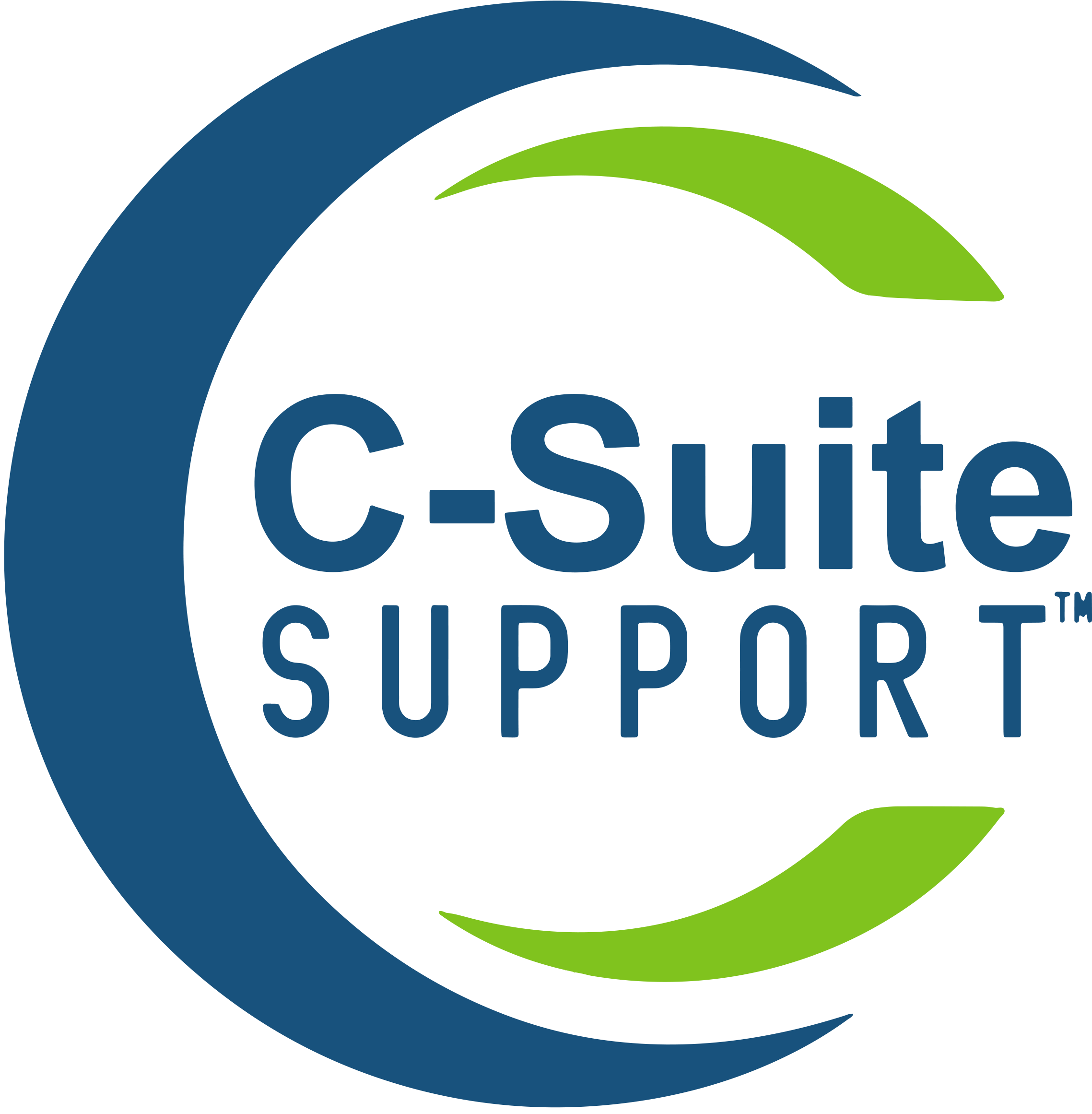 C-Suite Support